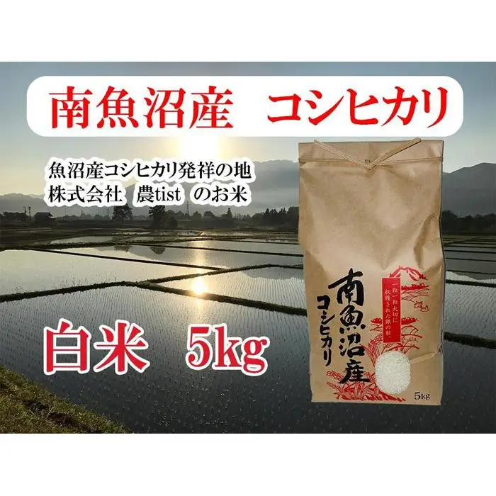 【令和7年】【南魚沼産】コシヒカリ 白米5kg｜コシヒカリ