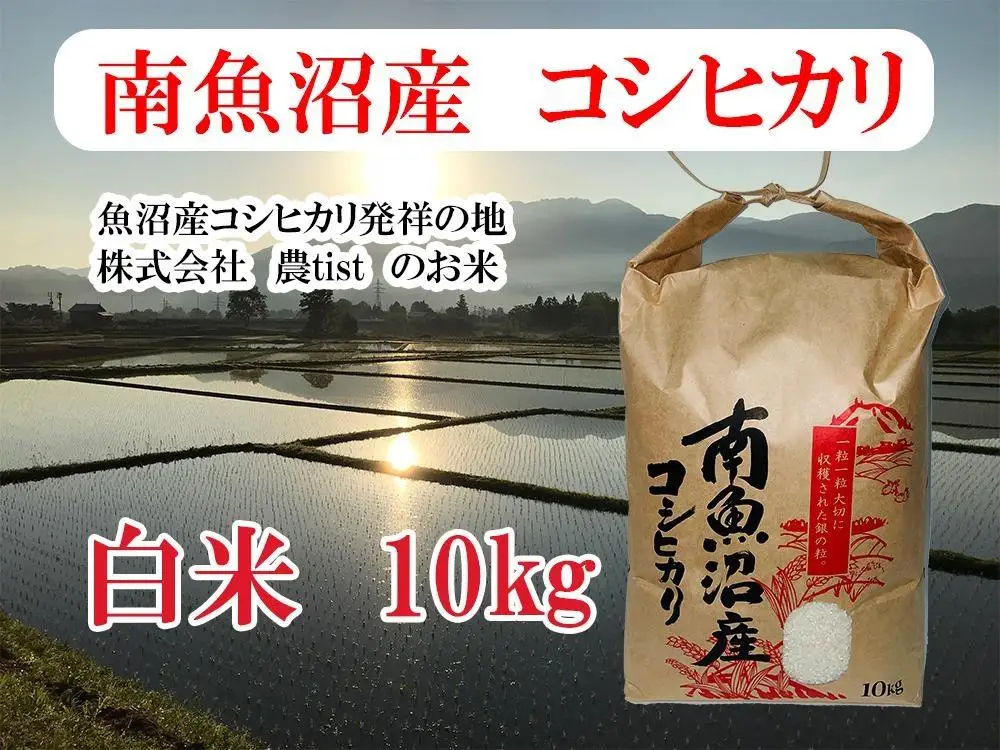 【令和8年 新米】【南魚沼産】コシヒカリ 白米10kg｜コシヒカリ