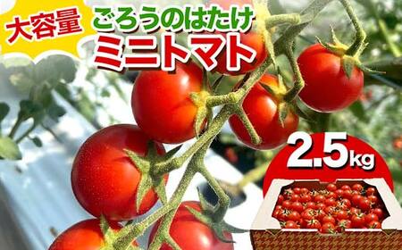 大容量 ごろうのはたけ ミニトマト 2.5kg 高糖度 濃厚 トマト サラダ 山陽小野田 F6L-1318
