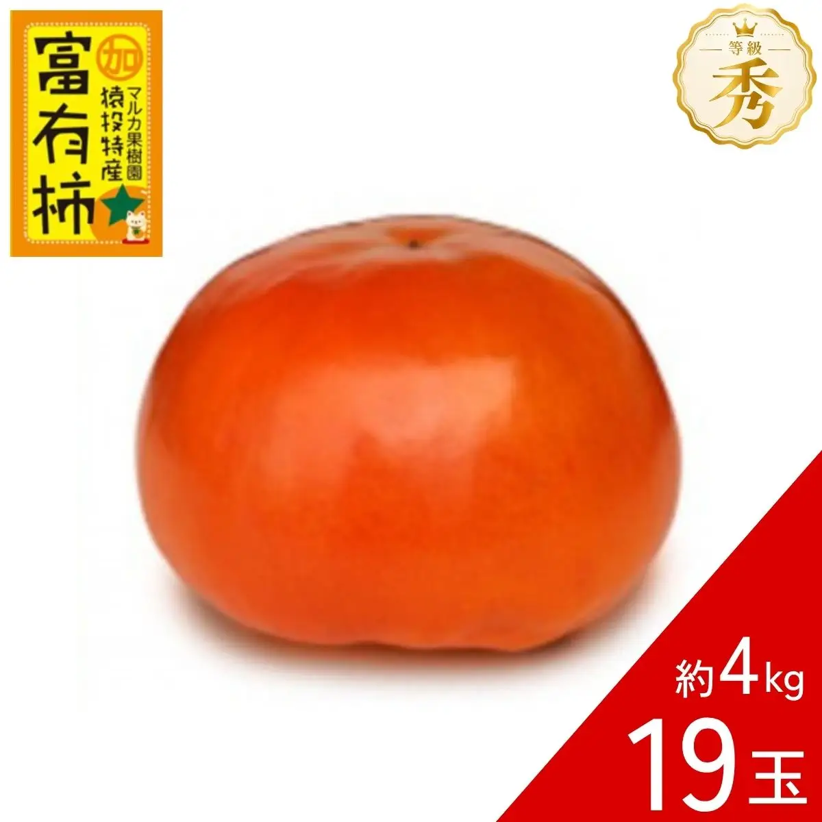 ＜先行受付＞ 富有柿 約4kg(19玉)【2026年11月上旬以降順次発送】　| 柿