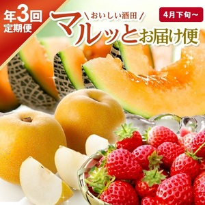 SE0485　【3回定期便】おいしい酒田 マルっとお届け便2026(2) 4月下旬～ (いちご、紅花メロン、刈屋梨)