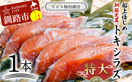 船上活じめ 釧路 定置 トキシラズ 1本 ふるさと納税 鮭 サケ 魚