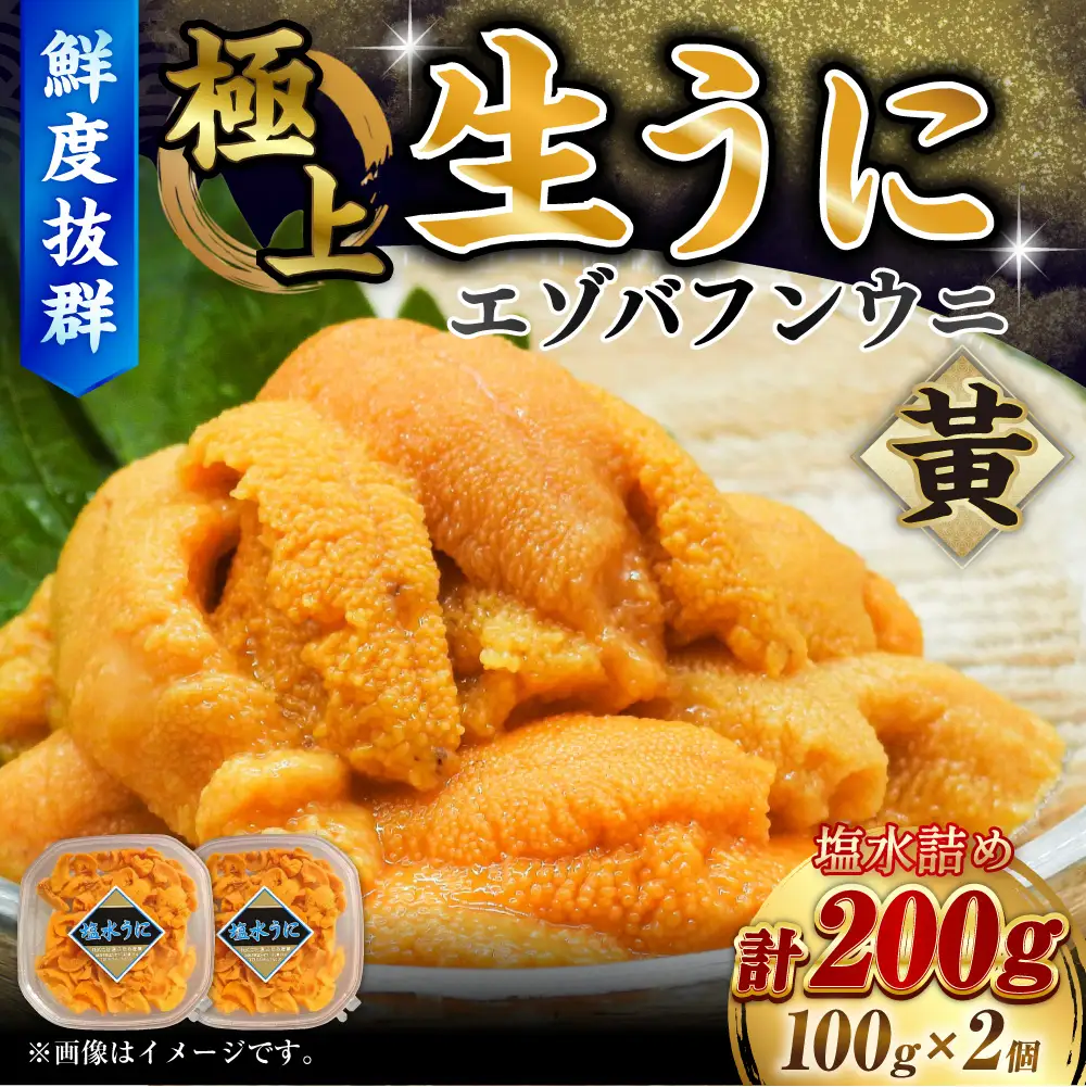 【鮮度抜群！特選・極上えぞバフンうに【黄】】塩水詰め100g×2個 ふるさと納税 うに F4F-0467