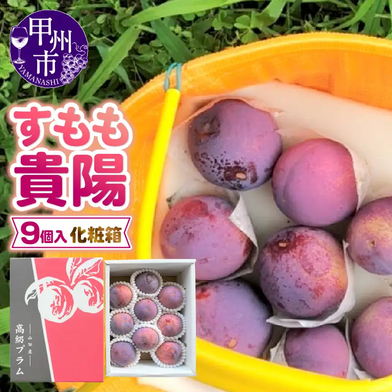 童夢のすもも「貴陽」化粧箱（9玉入り）約1.35kg～約1.7kg【2026年発送】（DOM）B-143 すもも フルーツ