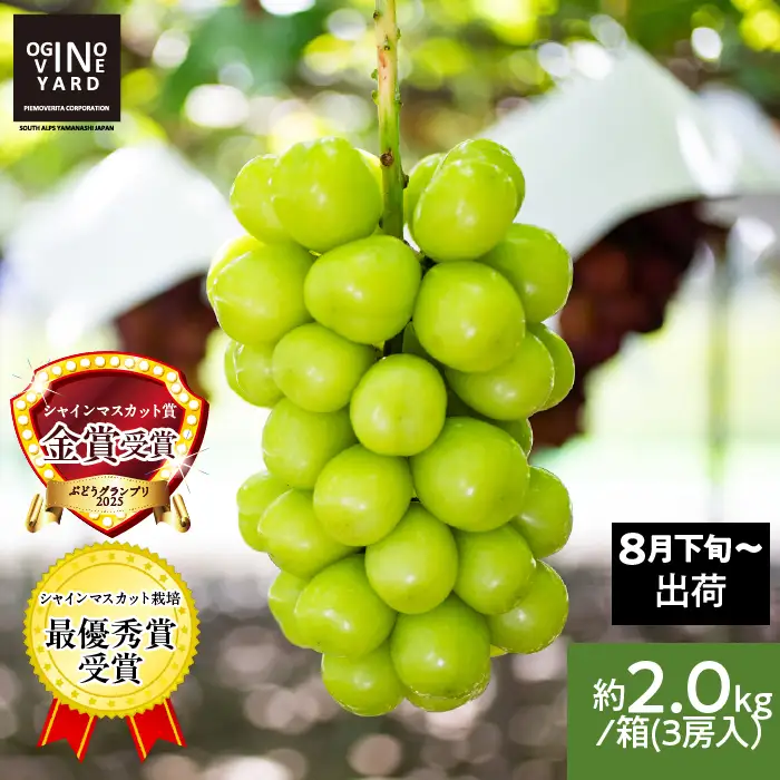 【2026年先行予約_8月中旬～発送】山梨県産シャインマスカット 約2.0kg／箱 3房入 ALPAK008｜シャインマスカット
