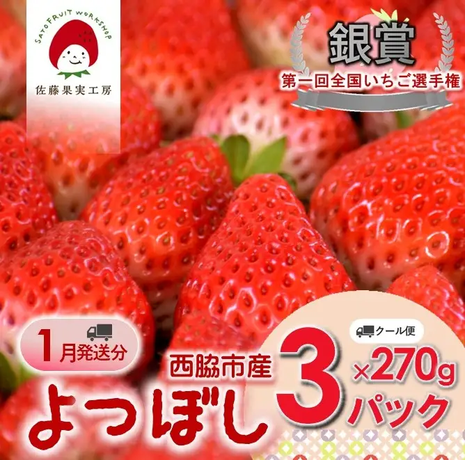 《2027年産先行予約》「西脇市産 佐藤果実工房のよつぼし」（約270g×３パック 約810g）【佐藤果実工房 全国いちご選手権銀賞受賞農園 TVで紹介!】令和９年１月中旬配送分（09-39）