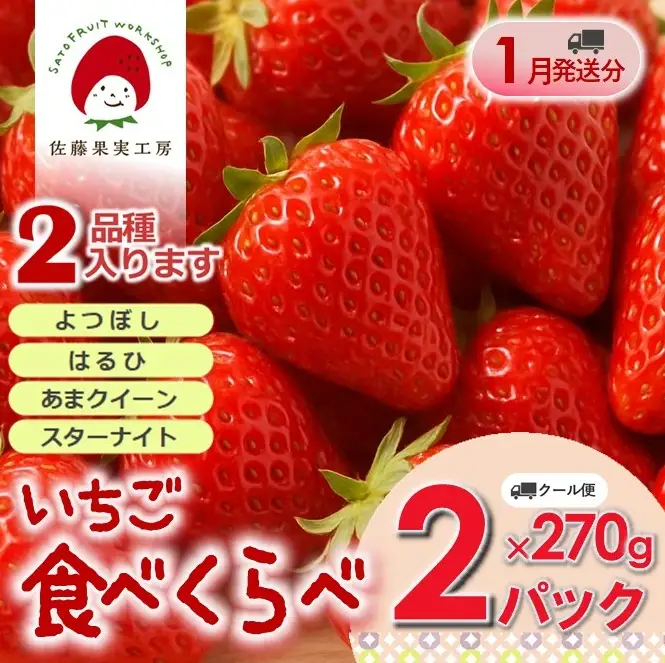 《2027年産先行予約》「西脇市産 旬のいちご2品種食べ比べセット」（1箱２パック）【佐藤果実工房 全国いちご選手権銀賞受賞農園 TVで紹介!】令和９年１月中旬配送分（sato-T-2-1-mid）