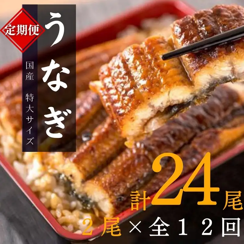 うなぎ 定期便 うなぎ 12回 国産【tkb311】