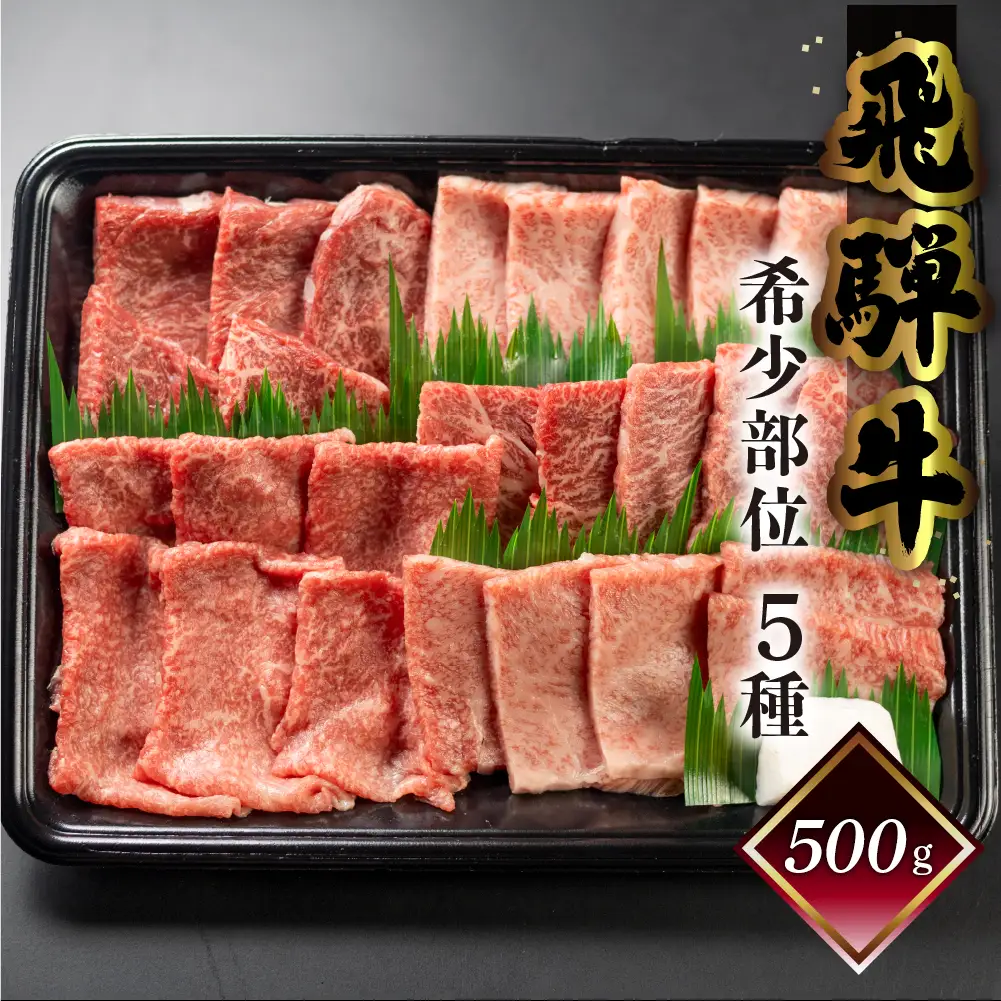 【数量限定】飛騨牛 希少部位5種 焼肉盛り合わせ 各100g  計500g  (ラムシン、ボンショー、カイノミ、トモサンカク、シキンボウ) 【70-45】