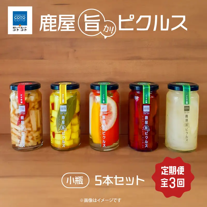 2184-2  【全3回定期便】鹿屋旨か！ ピクルス 小瓶 5本 セット KN072-T01 野菜 加工食品