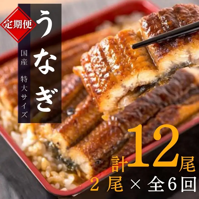 【6回定期便】大型国産うなぎ蒲焼き 計12尾 鰻【tkb310】