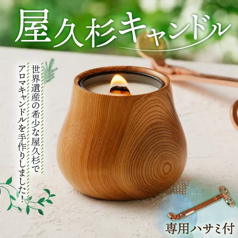 屋久杉キャンドル（専用ハサミ付） K248-001