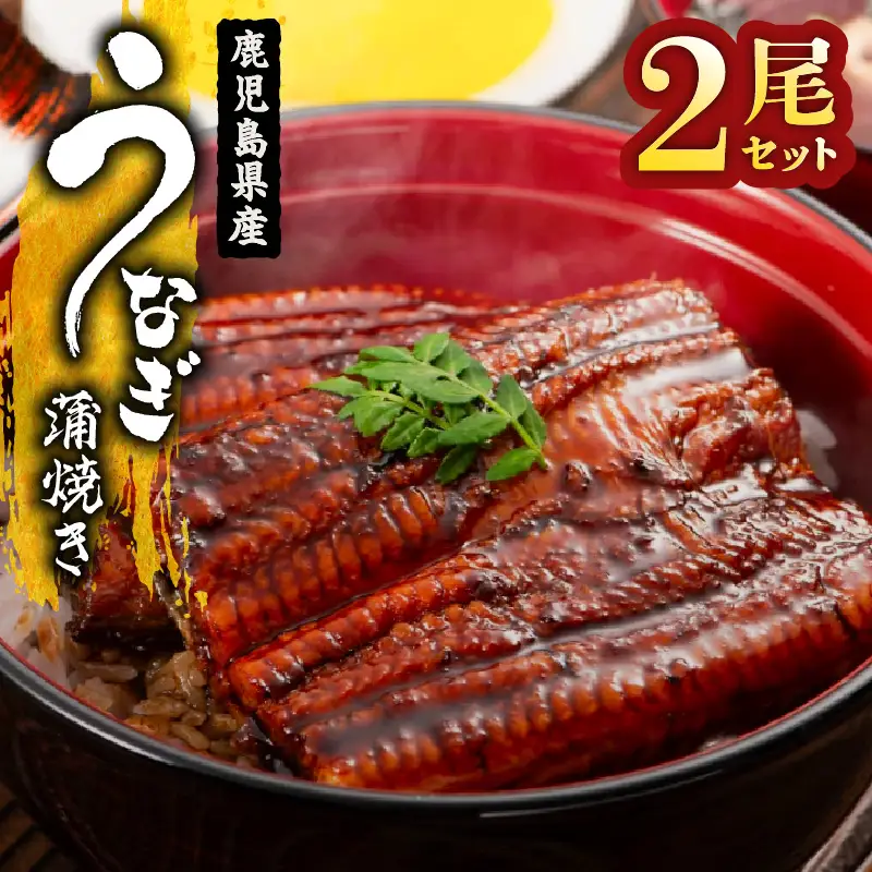  1654-1 鹿児島県産 うなぎ蒲焼き2尾セット KN058-002-02 魚 鰻