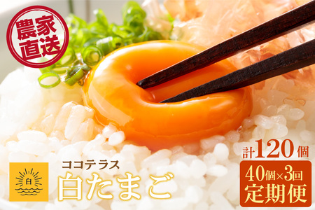 【3ヵ月定期便】ココテラスの朝日（白たまご）35個 + 5個保証（計40個）【JGAP認証】 農家直送 新鮮 卵 タマゴ 白卵 玉子 鶏卵 朝食 夕食 夜食 朝ごはん たまご焼き だし巻き卵 オムレツ 卵ご飯 料理 濃厚 飼料にこだわった 卵かけご飯 米たまご 生卵 大容量 お取り寄せ 愛知県 常滑市