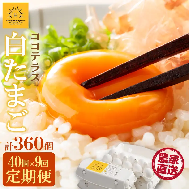 【9ヵ月定期便】ココテラスの朝日（白たまご）35個 + 5個保証（計40個）【JGAP認証】 農家直送 新鮮 卵 タマゴ 白卵 玉子 鶏卵 朝食 夕食 夜食 朝ごはん たまご焼き だし巻き卵 オムレツ 卵ご飯 料理 濃厚 飼料にこだわった 卵かけご飯 米たまご 生卵 大容量 お取り寄せ 愛知県 常滑市