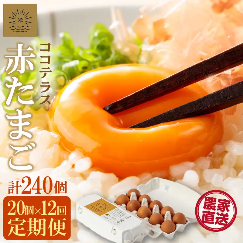 【12ヵ月定期便】ココテラスの明日（赤たまご）15個 + 5個保証（計20個）【JGAP認証】 農家直送 新鮮 卵 タマゴ 赤卵 玉子 鶏卵 朝食 夕食 夜食 朝ごはん たまご焼き オムレツ 卵ご飯 料理 濃厚 飼料にこだわった 卵かけご飯 米たまご 生卵 大容量 お取り寄せ 愛知県 常滑市
