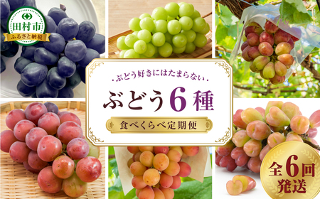 【先行予約 2025年発送】＼ぶどう６種食べくらべ定期便／ 6回発送 冷蔵 高級 種無し 種なし シャインマスカット ブドウ ぶどう 品種 果物 フルーツ 巨峰 美味しい 希少 人気 ランキング ギフト 納税 福島 ふくしま 田村市 鈴木農園