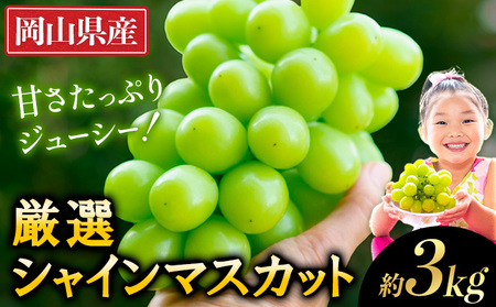 厳選 シャインマスカット 約3kg