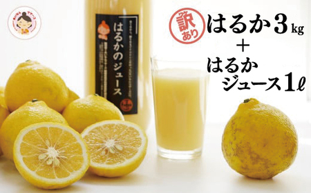 【 訳あり 】先行予約 あいなんマザーズ の 完熟 はるか 3kg ＋ はるか ジュース 1本 セット 訳あり 3kg 1L みかん 訳あり 先行 ジュース みかん 事前 訳あり 予約 はるか 愛媛 みかん 訳あり 産地直送 国産 みかん ジュース 訳あり みかん 農家直送 減農薬 完熟 香り みかん 糖度 訳あり 濃厚 ジュース みかん果樹園 訳あり 期間限定 みかん 数量限定 ジュース 訳あり みかん 特産品 ネクター 訳あり ストレート みかんジュース 100% 人気 みかん 訳あり 限定 ジュース 愛南 みかん 愛媛県 新鮮 訳あり 果実 みかん ジュース さわやか ジューシー 訳あり みかん 甘い ジュース 上品 フルーツ みかん 訳あり 果物 柑橘 ジュース みかん 訳あり セット