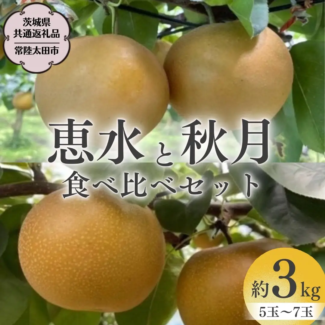 【 2026年 先行予約 】 厳選 2種！恵水 と 秋月 の 食べ比べセット 約3kg 5玉～7玉 【 茨城県共通返礼品 ／ 常陸太田市 】 桧山果樹園 フルーツ 甘い 直送 茨城 限定 ギフト 梨 旬 贈答 果物 [DU019sa]