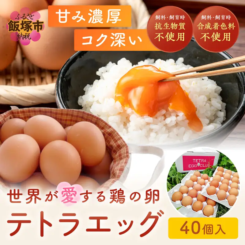 テトラエッグ40個入【A5-459】