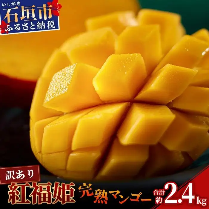 訳あり「紅福姫ブランド」石垣島のマンゴー 約2.4kg 　OT-02