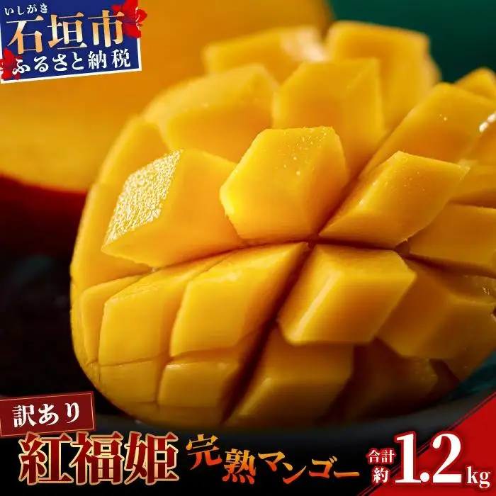 「紅福姫ブランド」石垣島のマンゴー 約1.2kg　OT-01