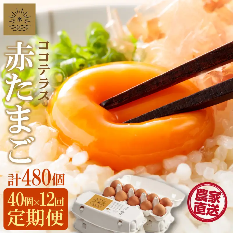 【12ヵ月定期便】ココテラスの明日（赤たまご）35個 + 5個保証（計40個）【JGAP認証】 農家直送 新鮮 卵 タマゴ 赤卵 玉子 鶏卵 朝食 夕食 夜食 朝ごはん たまご焼き オムレツ 卵ご飯 料理 濃厚 飼料にこだわった 卵かけご飯 米たまご 生卵 大容量 お取り寄せ 愛知県 常滑市