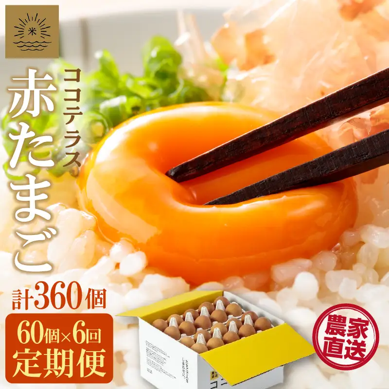 【6ヵ月定期便】ココテラスの明日（赤たまご）55個 + 5個保証（計60個）【JGAP認証】 農家直送 新鮮 卵 タマゴ 赤卵 玉子 鶏卵 朝食 夕食 夜食 朝ごはん たまご焼き オムレツ 卵ご飯 料理 濃厚 飼料にこだわった 卵かけご飯 米たまご 生卵 大容量 お取り寄せ 愛知県 常滑市