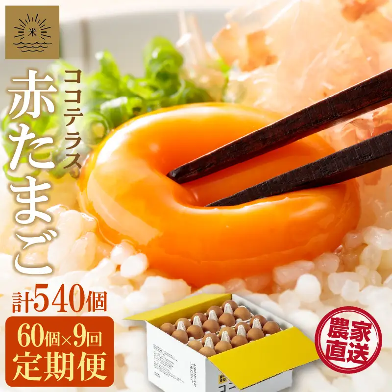 【9ヵ月定期便】ココテラスの明日（赤たまご）55個 + 5個保証（計60個）【JGAP認証】 農家直送 新鮮 卵 タマゴ 赤卵 玉子 鶏卵 朝食 夕食 夜食 朝ごはん たまご焼き オムレツ 卵ご飯 料理 濃厚 飼料にこだわった 卵かけご飯 米たまご 生卵 大容量 お取り寄せ 愛知県 常滑市