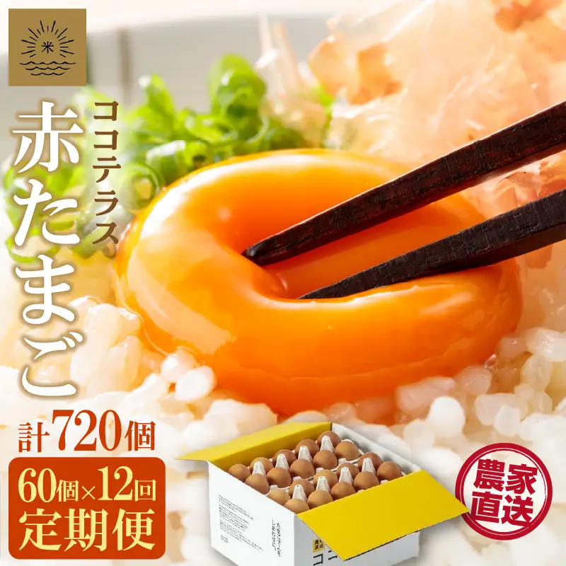 【12ヵ月定期便】ココテラスの明日（赤たまご）55個 + 5個保証（計60個）【JGAP認証】 農家直送 新鮮 卵 タマゴ 赤卵 玉子 鶏卵 朝食 夕食 夜食 朝ごはん たまご焼き オムレツ 卵ご飯 料理 濃厚 飼料にこだわった 卵かけご飯 米たまご 生卵 大容量 お取り寄せ 愛知県 常滑市