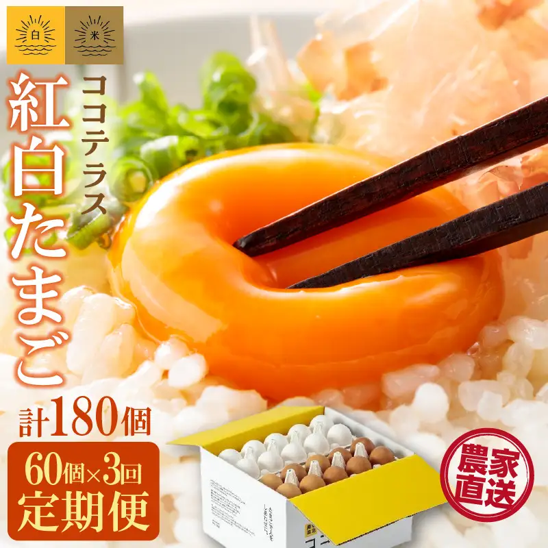 【3ヵ月定期便】ココテラスの紅白たまご　55個 + 5個保証（計60個）【JGAP認証】 農家直送 新鮮 卵 タマゴ 赤卵 白卵 玉子 鶏卵 朝食 夕食 夜食 朝ごはん たまご焼き だし巻き卵 オムレツ 卵ご飯 料理 濃厚 飼料にこだわった 卵かけご飯 米たまご 生卵 大容量 お取り寄せ 愛知県 常滑市