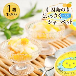 因島のはっさくシャーベット(未凍結）（75g×12個）