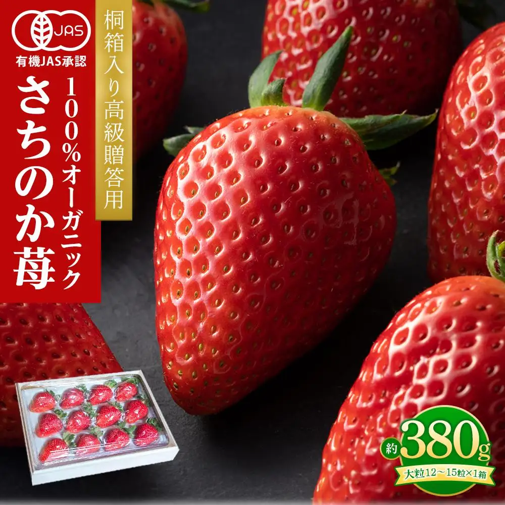 桐箱入り高級贈答用 とくしまオーガニックいちご・大粒(12~15粒 約380g)１箱【2026年12月下旬から順次発送】