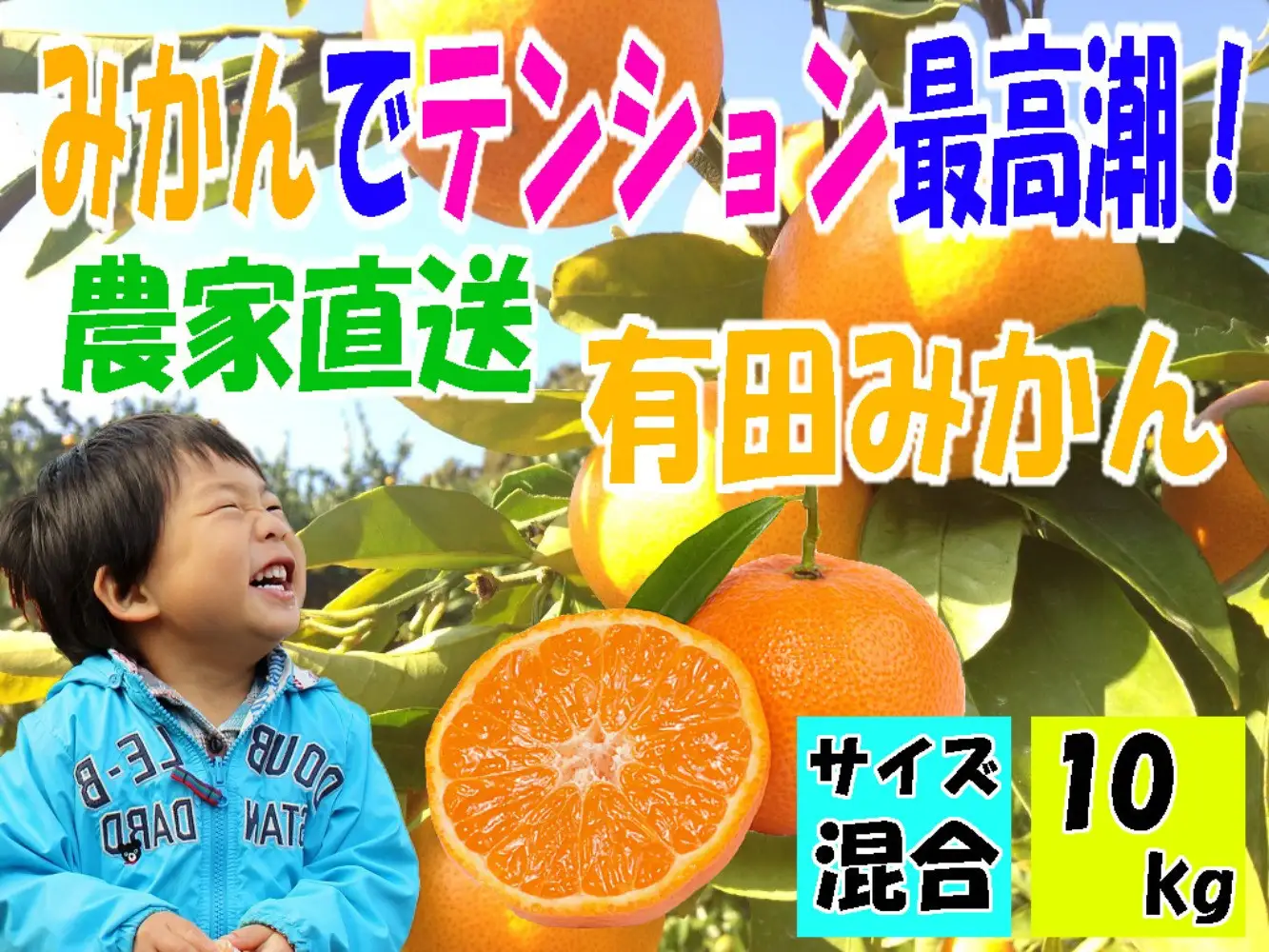 有田みかん10キロ　サイズ混合