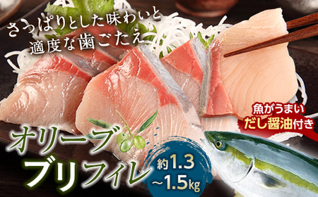 超新鮮・オリーブブリフィレ約1.3～1.5kg 魚がうまいだし醤油付き （10月下旬～12月中旬頃発送） ぶり 鰤 おかず おつまみ 肴 ご当地 食品 名産 四国 【沖縄配送不可】 F5J-1191