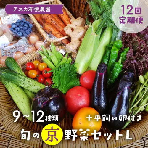【12回定期便】＜アスカ有機農園＞旬の京野菜セットＬ 野菜