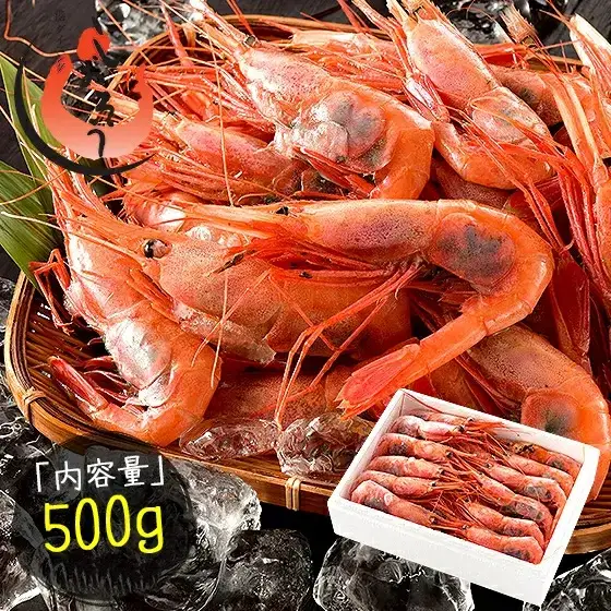 福井県敦賀産甘えび・子持ちE大サイズ約500g(約30尾) [053-a028]