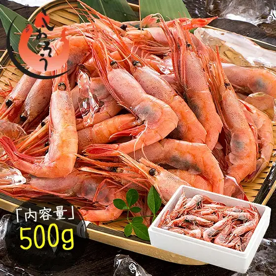 福井県敦賀産 甘えび・子持ち中サイズ約500g(約40尾)　[053-a026]