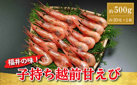 [011-a003] 子持ち越前甘えび！約500g