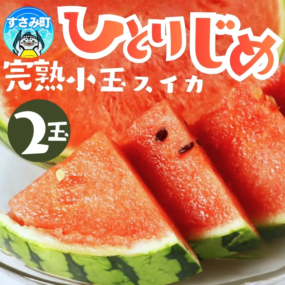 すいか 紀州和歌山産 小玉スイカ「ひとりじめ」2玉 ※2027年5月下旬頃?6月下旬頃順次発送予定【uot779C】