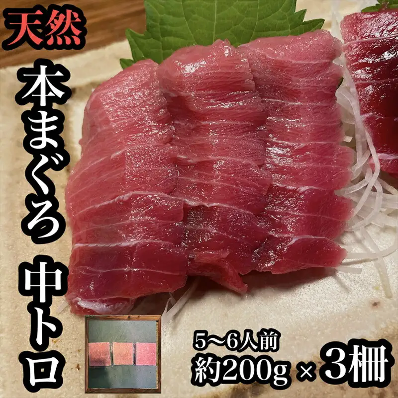 貴重な天然本鮪 中トロ 約200g 3柵　5 6人前●くどくない上質な脂が美味しい！【とろ マグロ 惣菜 海鮮 お取り寄せ 御中元 お中元 お歳暮 父の日 母の日 贈り物 日本酒 焼酎  マグロ マグロ】【神奈川県小田原市早川】