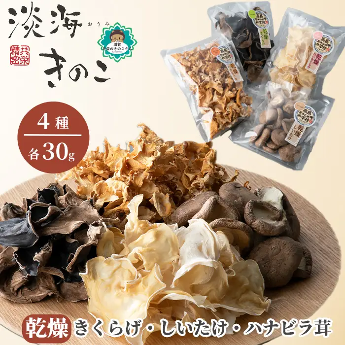 【D-710】共栄精密　淡海きのこ　乾燥きのこセット 乾燥きくらげ・乾燥しいたけ・乾燥ハナビラ茸（よかもんパッケージ入り）［高島屋選定品］