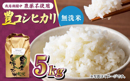 栽培期間中農薬不使用 令和6年産 豊コシヒカリ 精米 無洗米 5kg /鶴ノ原北川農園 [UDL018] 白米 米 お米 こめ 白米 精米 ブランド米