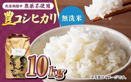 栽培期間中農薬不使用 令和6年産 豊コシヒカリ 精米 無洗米 10kg /鶴ノ原北川農園 [UDL019] 白米 米 お米 こめ 白米 精米 ブランド米