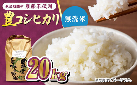 栽培期間中農薬不使用 令和6年産 豊コシヒカリ 精米 無洗米 20kg /鶴ノ原北川農園 [UDL020] 白米 米 お米 こめ 白米 精米 ブランド米