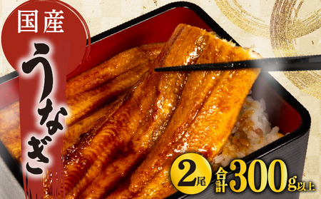 国産 鰻 蒲焼き 2尾 150g以上 × 2本入 計300g以上 ( 鰻 うなぎ うなぎ ふっくら鰻 大人気鰻 鰻蒲焼 鰻蒲焼き 滋賀県鰻 竜王町鰻 さんしょう たれ セット 本格鰻 ふっくらうなぎ 本格うなぎ 2匹 2尾鰻 2尾うなぎ 冷凍鰻 大人気うなぎ 人気うなぎ 土用の丑の日うなぎ うなぎ蒲焼き うなぎ蒲焼 冷凍うなぎ 蒲焼 贈答うなぎ うな丼 うな重 ひつまぶし 人気鰻 惣菜 海鮮 贈答用鰻 お歳暮鰻 うなぎ おせち お年賀 おすすめ鰻 人気鰻 大人気鰻 ギフト鰻 贈答鰻 プレゼント鰻 滋賀県 竜王町 ふるさと納税 )