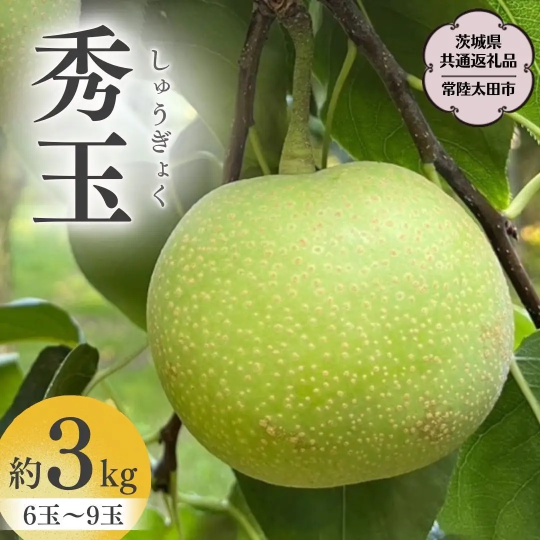 種・種子 ⚠️ほのぼのピクルス様専用⚠️茨城県産 梨/甘ひびき 秀品/