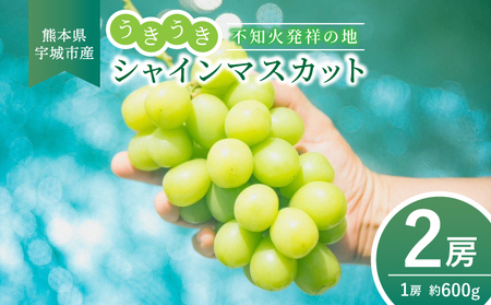 シャインマスカット 2房 約1kg  うきうきシャインマスカット 【2026年7月下旬-2026年9月下旬頃 順次発送予定】
