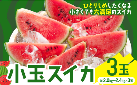 小玉スイカ 3玉【養生市場】 ひとりじめ 果物 フルーツ スイカ 西瓜 九州産 熊本県産 送料無料【先行予約】